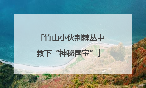 竹山小伙荆棘丛中救下“神秘国宝”