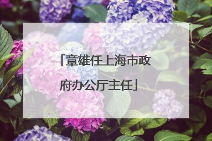 章雄任上海市政府办公厅主任