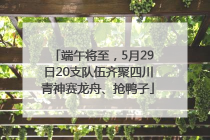 端午将至，5月29日20支队伍齐聚四川青神赛龙舟、抢鸭子