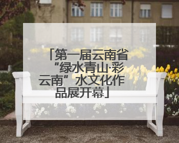 第一届云南省“绿水青山·彩云南”水文化作品展开幕