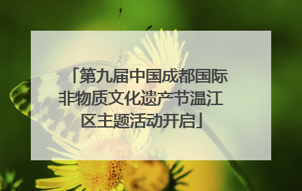 第九届中国成都国际非物质文化遗产节温江区主题活动开启