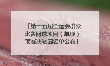 第十五届全运会群众比赛网球项目（单项）预赛决赛圈名单公布