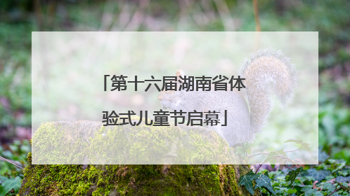 第十六届湖南省体验式儿童节启幕