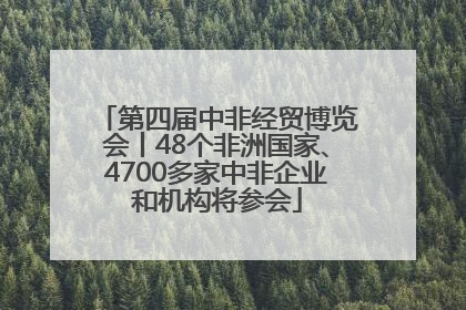 第四届中非经贸博览会丨48个非洲国家、4700多家中非企业和机构将参会
