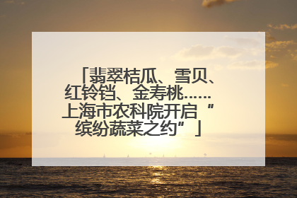 翡翠桔瓜、雪贝、红铃铛、金寿桃……上海市农科院开启“缤纷蔬菜之约”