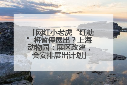 网红小老虎“红糖”将暂停展出？上海动物园：展区改建，会安排展出计划