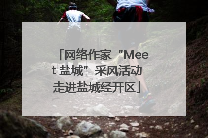 网络作家“Meet 盐城”采风活动走进盐城经开区