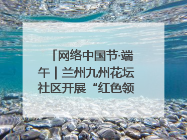 网络中国节·端午｜兰州九州花坛社区开展“红色领航 粽香敬老”端午主题活动