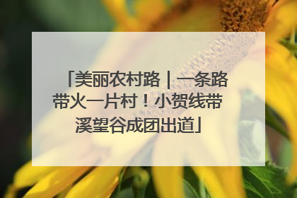美丽农村路｜一条路带火一片村！小贺线带溪望谷成团出道