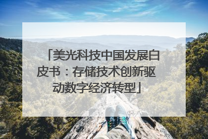 美光科技中国发展白皮书：存储技术创新驱动数字经济转型