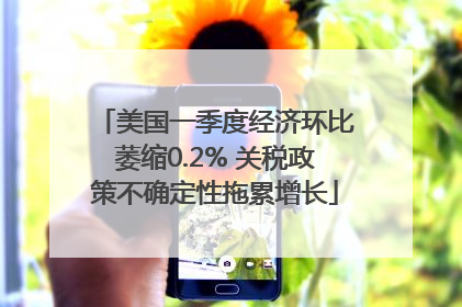 美国一季度经济环比萎缩0.2% 关税政策不确定性拖累增长
