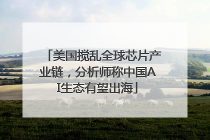 美国搅乱全球芯片产业链，分析师称中国AI生态有望出海