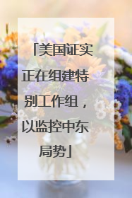 美国证实正在组建特别工作组，以监控中东局势