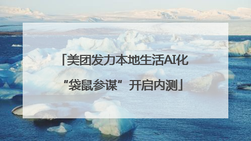 美团发力本地生活AI化 “袋鼠参谋”开启内测