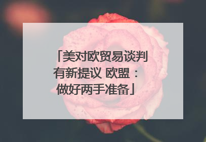 美对欧贸易谈判有新提议 欧盟：做好两手准备