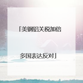 美钢铝关税加倍 多国表达反对