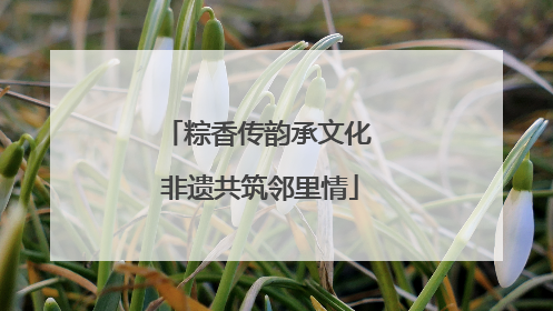 粽香传韵承文化 非遗共筑邻里情