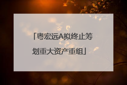 粤宏远A拟终止筹划重大资产重组