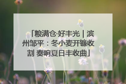 粮满仓·好丰光｜滨州邹平：冬小麦开镰收割 奏响夏日丰收曲