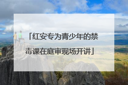 红安专为青少年的禁毒课在庭审现场开讲