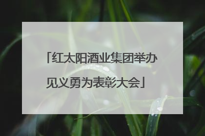 红太阳酒业集团举办见义勇为表彰大会