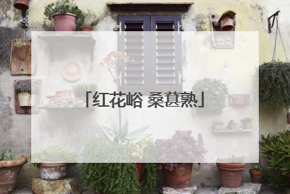 红花峪 桑葚熟