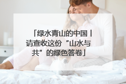 绿水青山的中国丨请查收这份“山水与共”的绿色答卷