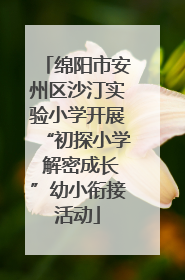 绵阳市安州区沙汀实验小学开展“初探小学 解密成长”幼小衔接活动