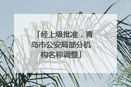 经上级批准，青岛市公安局部分机构名称调整