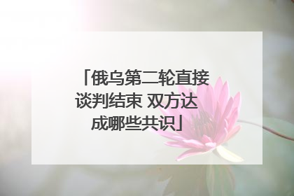 俄乌第二轮直接谈判结束 双方达成哪些共识