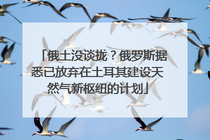 俄土没谈拢？俄罗斯据悉已放弃在土耳其建设天然气新枢纽的计划