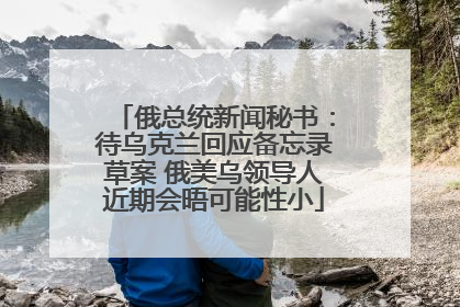 俄总统新闻秘书：待乌克兰回应备忘录草案 俄美乌领导人近期会晤可能性小