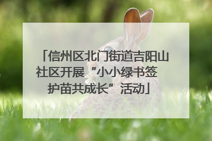 信州区北门街道吉阳山社区开展“小小绿书签 护苗共成长”活动