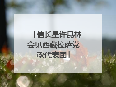 信长星许昆林会见西藏拉萨党政代表团