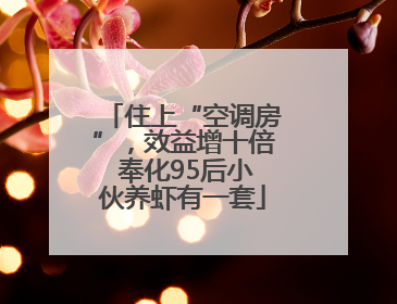 住上“空调房”，效益增十倍 奉化95后小伙养虾有一套