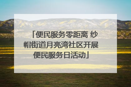 便民服务零距离 纱帽街道月亮湾社区开展便民服务日活动