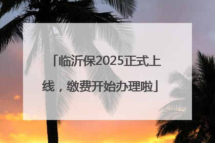 临沂保2025正式上线，缴费开始办理啦