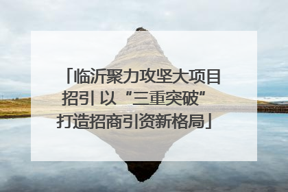 临沂聚力攻坚大项目招引 以“三重突破”打造招商引资新格局