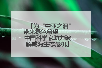 为“中亚之泪”带来绿色希望——中国科学家助力破解咸海生态危机