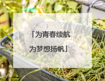为青春续航 为梦想扬帆