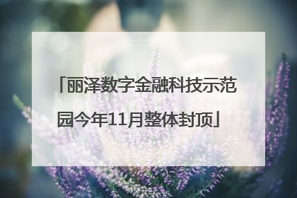 丽泽数字金融科技示范园今年11月整体封顶
