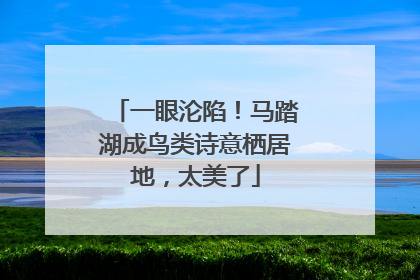 一眼沦陷！马踏湖成鸟类诗意栖居地，太美了