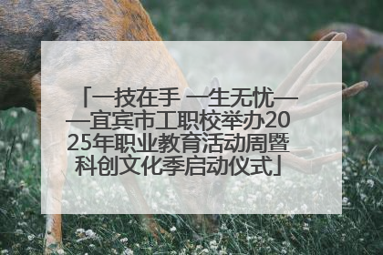 一技在手 一生无忧——宜宾市工职校举办2025年职业教育活动周暨科创文化季启动仪式