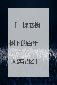 一棵老槐树下的百年大连记忆