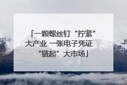 一颗螺丝钉“拧紧”大产业 一张电子凭证“链起”大市场