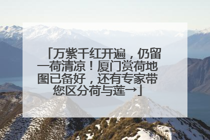 万紫千红开遍，仍留一荷清凉！厦门赏荷地图已备好，还有专家带您区分荷与莲→