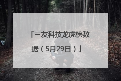三友科技龙虎榜数据（5月29日）