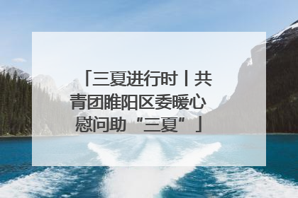 三夏进行时丨共青团睢阳区委暖心慰问助“三夏”