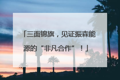 三面锦旗，见证振森能源的“非凡合作”！