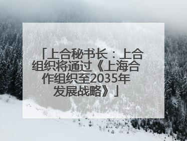 上合秘书长：上合组织将通过《上海合作组织至2035年发展战略》